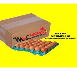 CAIXA EXTRA VERMELHO C/360 OVOS